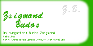 zsigmond budos business card